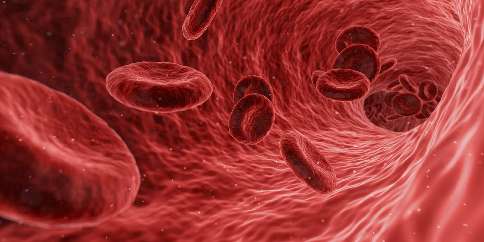 sangue sperma 02