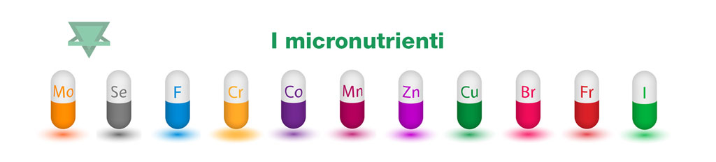 micronutrienti