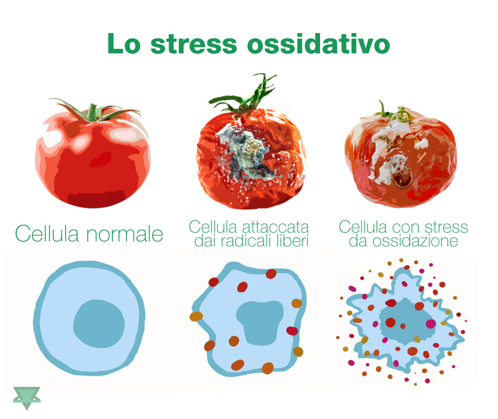 stress ossidativo